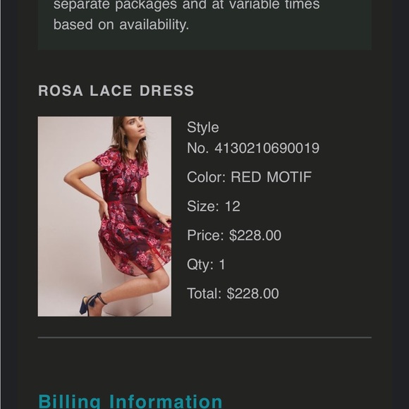 Anthropologie Rosa Lace Dress - Picture 11 of 11